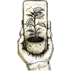 Plant more plants