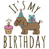 It's my Birthday Dog