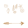 Beachcombing Tribe Shell Collection Strandkamm