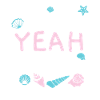 Shell Yeah Beaches Muschelsammlung Beachcombing