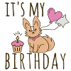 It's my Birthday Dog