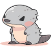 Cute Mongoose