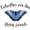 BUTTERFLIES ARE LIKE FLYING JEWELS
