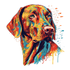 Bunter Vizsla