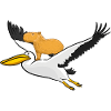 Capybara Pelican