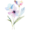 Tiny Flower