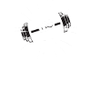 Musculation
