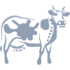 Cow Art Abstract