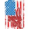 Judo USA Flag