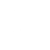 Original 100% Anni