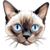 Aquarelles de chat siamois