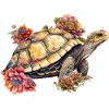 Pretty turtle