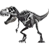 dinosaur T-rex skeleton