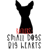 Ratlers small dogs big hearts