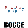 Boccia Ball Lawn Bowling Gift