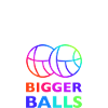 Boccia Ball Lawn Bowling Gift