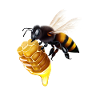Bee with honeycomb