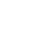 Birds | Bird