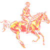 Cavalier - équitation - cheval