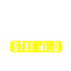 Holiday Camping Trip