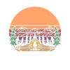 Road trip camping