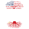 Né chinois Chine États-Unis