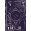 Gemini Constellation Night Zodiac