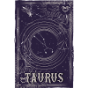 Taurus Constellation Orbit Design
