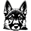 Dog Owner German Shepherd Puppy