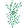 Flower Flower Plant