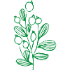 Flower Flower Plant