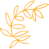 Flower Flower Plant