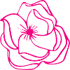 Flower Flower Plant