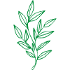Flower Flower Plant