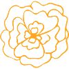 Flower Flower Plant