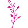 Pianta del fiore del fiore