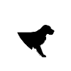 Hund Dog