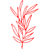 Flower Flower Plant