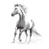 Cheval sauvage