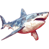 Grand requin blanc