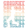 Cricketer throws the ball
