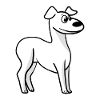 Whippet Hunderasse Windhund hundebesitzer