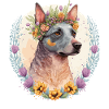 Carino australiano bovino cane fiore corona animale domestico cane Br