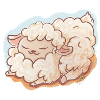 Come what wool.