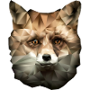 Renard polygonal