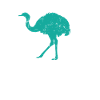 Ostrich ratite animal desert