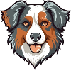 Australian Shepherd