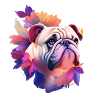 Bouledogue