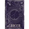 Cancer Zodiac Constellation Night