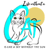 Katze